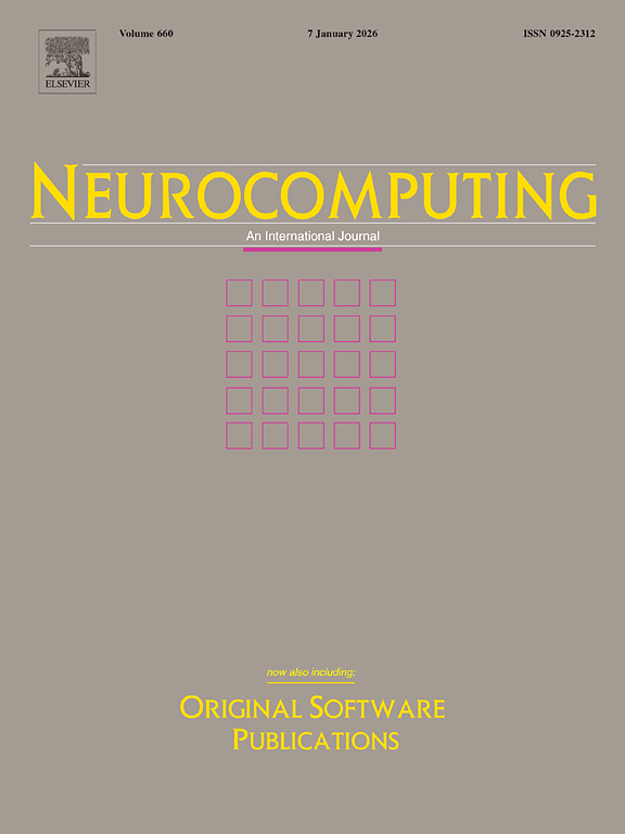 Neurocomputing cover
